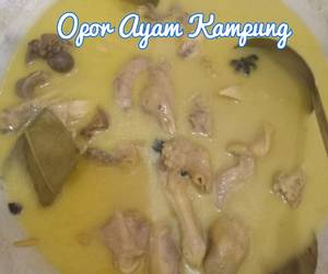 Resep mudah Opor ayam kampung Praktis Enak