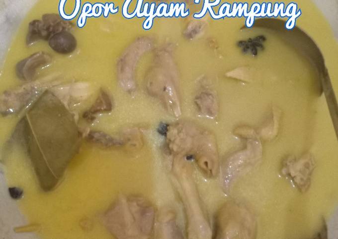 Opor ayam kampung