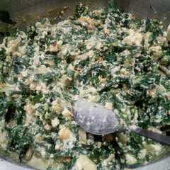 Foto principal de Relleno para canelones