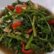 Cah Kangkung