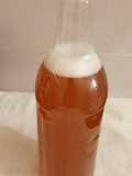 Kombucha