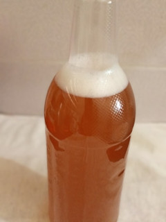 A picture of Kombucha.