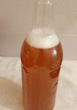 A picture of Kombucha.