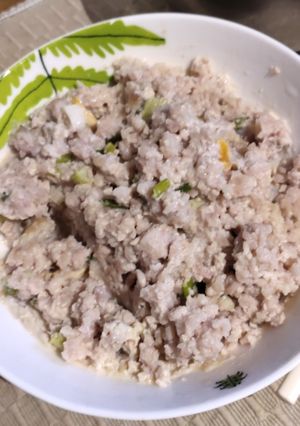 A picture of Ground Pork with Spring Onion.