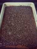 Bolo de chocolate