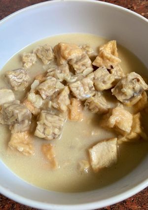 Foto resep Tahu Tempe Santan