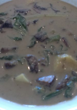 A picture of Veg Thai Green Curry with BokChoy.