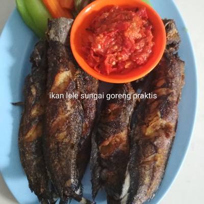 Resep Ikan Lele Sungai Goreng Praktis Oleh Dwi Astuti Cookpad