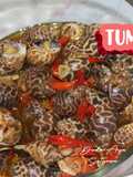 Tumis Keong Macan Pedas
