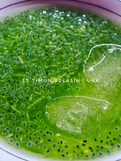 Foto resep Es Timun Selasih