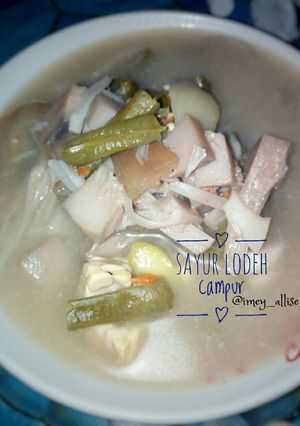 Foto resep Sayur Lodeh Campur