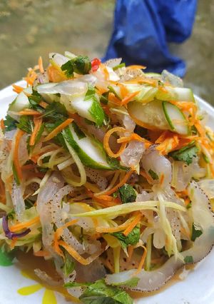Hình của món Nộm sứa.