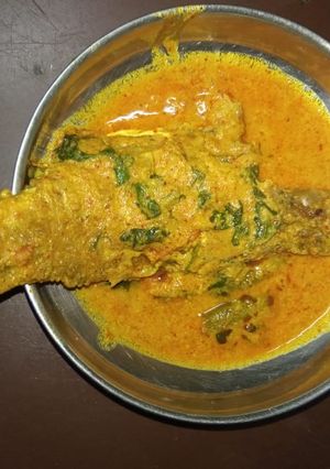 A picture of Bhola bhetki poppy seeds paste curry.
