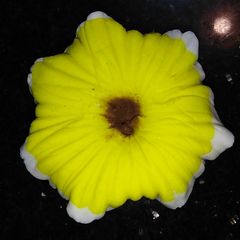 A picture of Fondant flower.