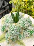 Onde Onde Khas Sumbar