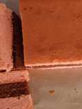 Spiku oven tangkring