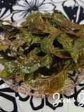 Crisp Neem Leaves