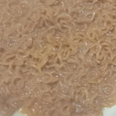 A picture of Maggi.