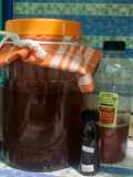 Membuat Scooby dari Kombucha Ori (Starter)