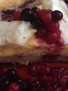 TudatosantESZEM madártejes túrófészek torta (gluténmentes, fogyókúrába illeszthető) recept fotója