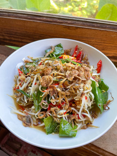 Foto resep Tumis Teri Tauge