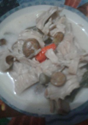 Foto resep Lodeh nangka muda/tewel