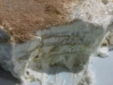 Torta de tiramisú