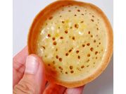 Gambar terang bulan fermipan