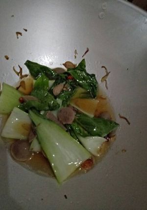 Foto resep 🌈Tumis Sawi Daging🌈