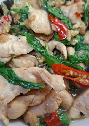 รูปของ กะเพราสันในไก่