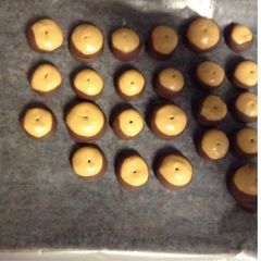 A picture of Buckeyes.
