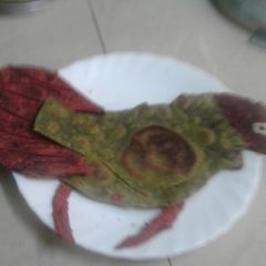 A picture of Parrot parantha.