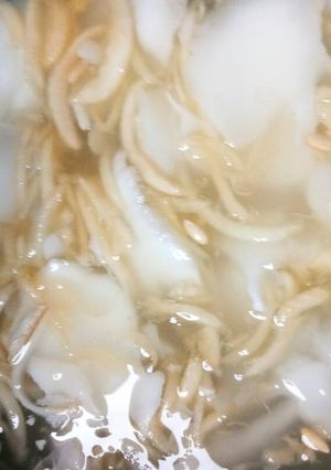 Foto resep Es kelapa muda