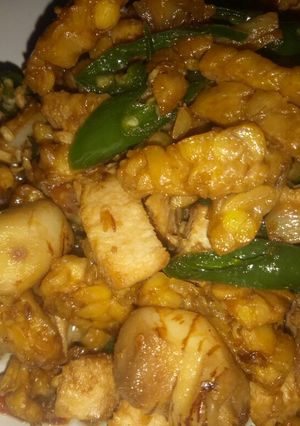Foto resep Tumis ayam tempe with saus tiram