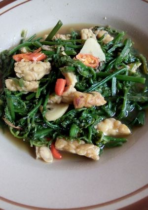 Foto resep Tumis pakis tempe..