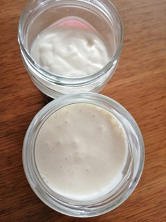 A picture of DIY Mayonnaise.