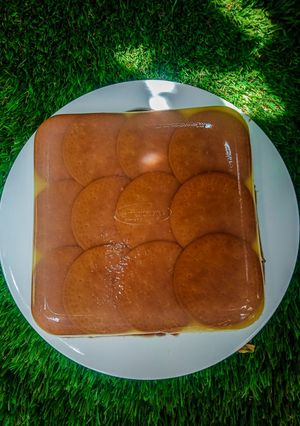 Foto resep Puding Regal Susu