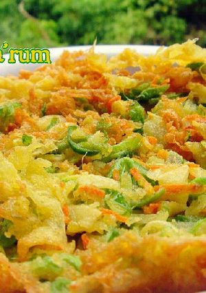 Foto resep Telur Dadar Sayur Keriting Kremes