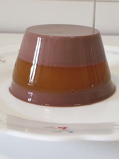 Una foto de Gelatina de chocolate y mango