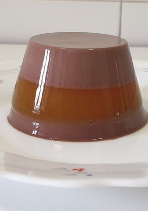 Una foto de Gelatina de chocolate y mango