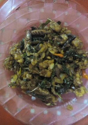 Foto resep Orak Arik Tempe Special