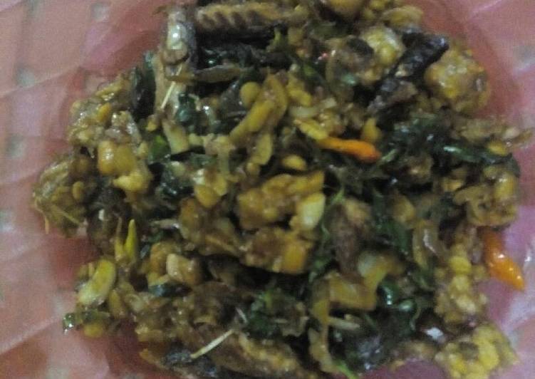 Orak Arik Tempe Special