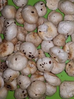 नमकीन मखाना(Namkeen makhana recipe in Hindi) रेसिपी मुख्य फोटो