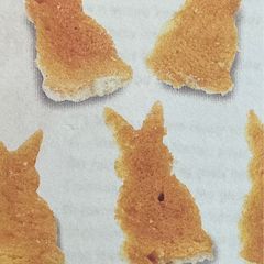 A picture of Honey bunny.