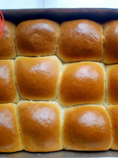 A picture of Home made bread! 🍞.