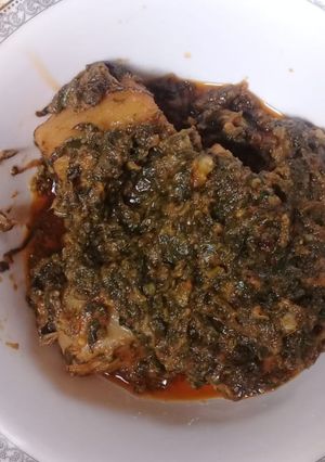 A picture of Palimachi.