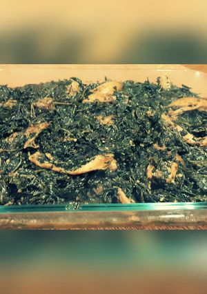 صورة لوصفة ملوخية و رز