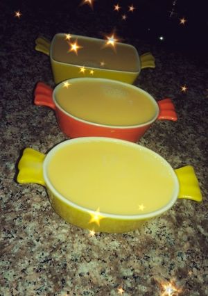 صورة لوصفة فلو البيت