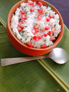कर्ड राइस (Curd Rice recipe in hindi) रेसिपी मुख्य फोटो