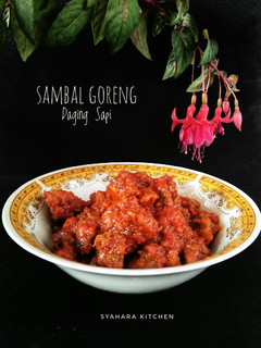 Foto resep 51 - 2 Sambal Goreng Daging